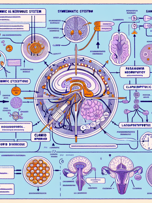 Cómo afecta Clomid al sistema nervioso autónomo